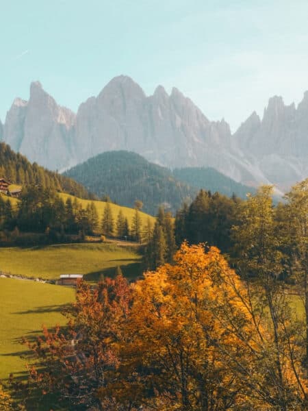nature during autumn in the mountains, Développeur freelance Lille